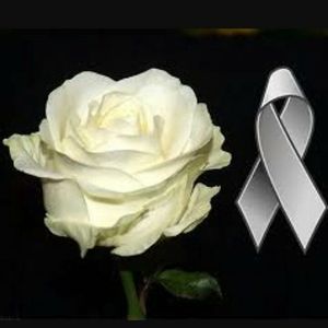 Meet your Posher, Ana